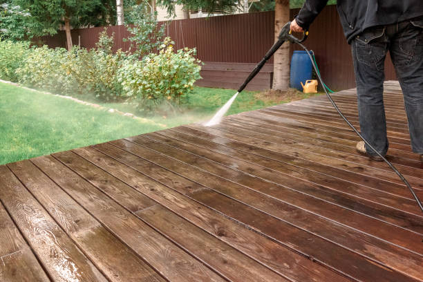 Best Solar Panel Cleaning  in Shell Rock, IA